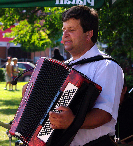 Petr Pouzar Harmonika, klávesy